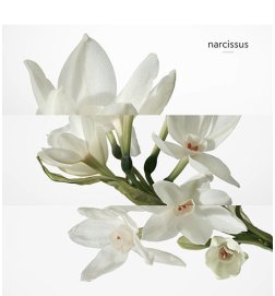 H24 - Eau de toilette